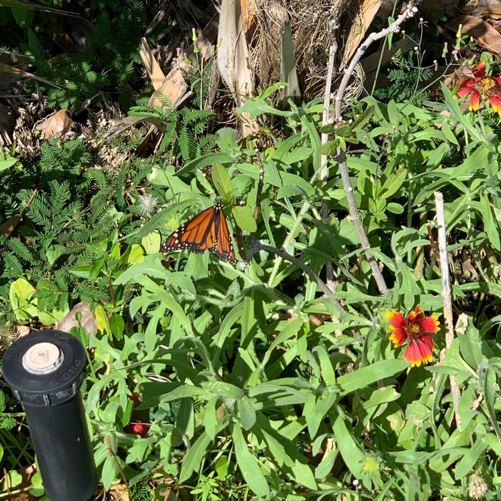 Meet your Posher, Brandy